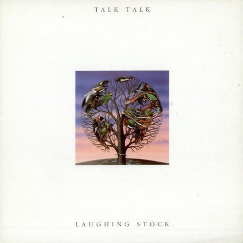 talk talk 5